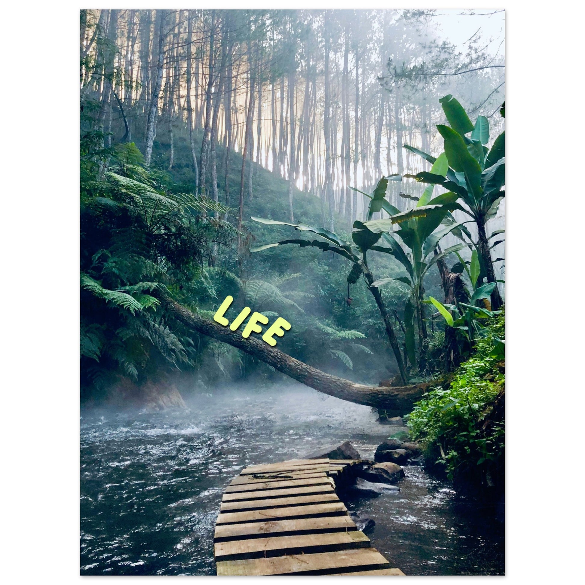 529b0eba-f174-4f8b-96b2-f99442d28a2a