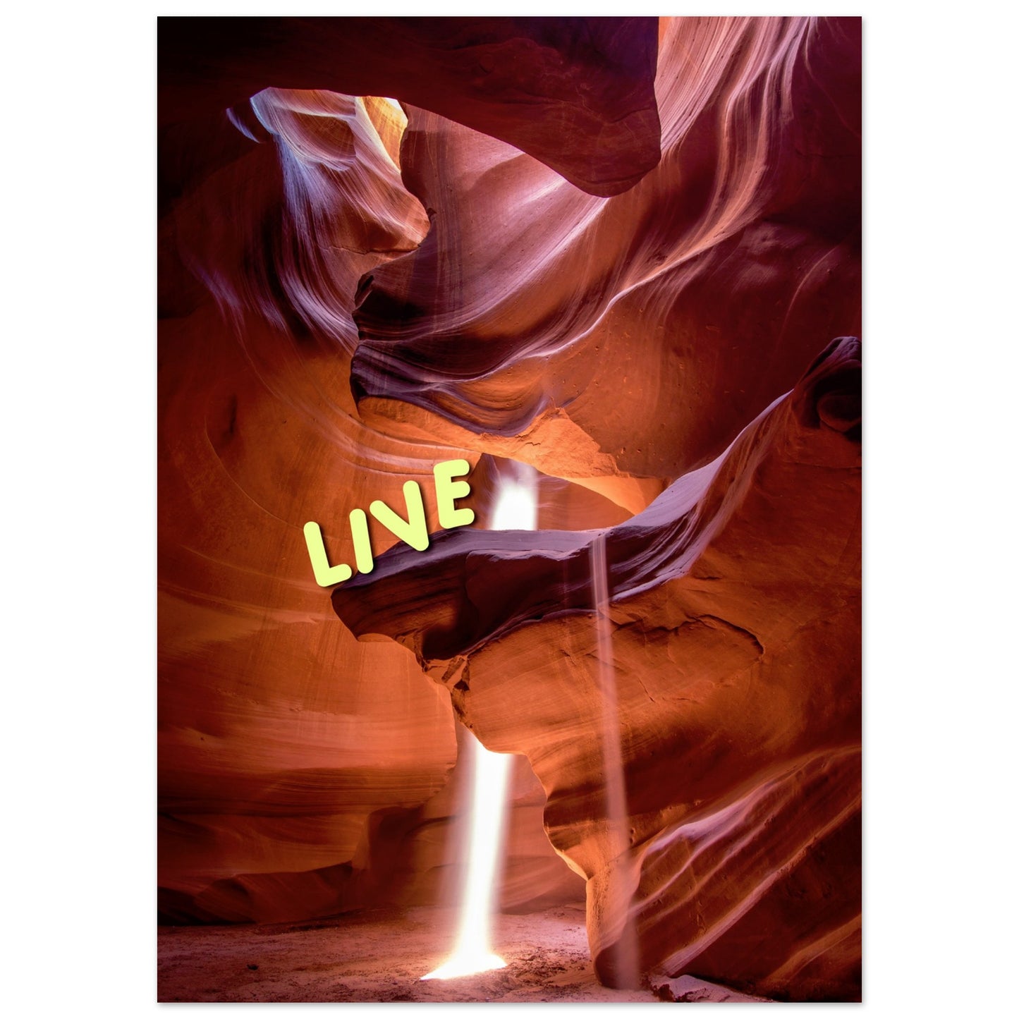 704a4a43-58d1-4782-9643-8a16ce7fd687