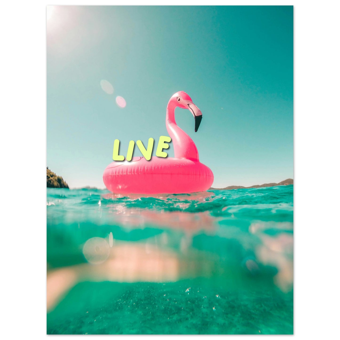 d18e160a-5bdb-4404-a0b1-9dcbfbffb91d