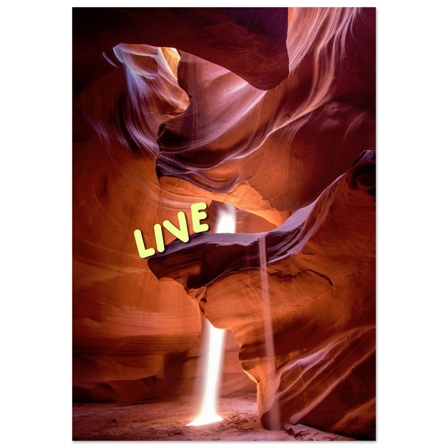 d317010a-0718-497b-b04a-c1bead696814