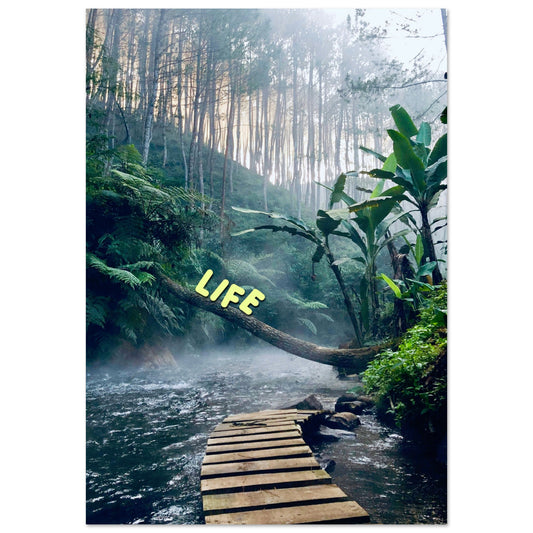 db1dff99-86f1-4b77-9f91-279dfc71c567